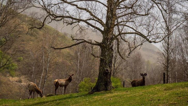 Какой у вас тип усталости? Пройдите тест и спланируйте идеальный отдых на Алтае