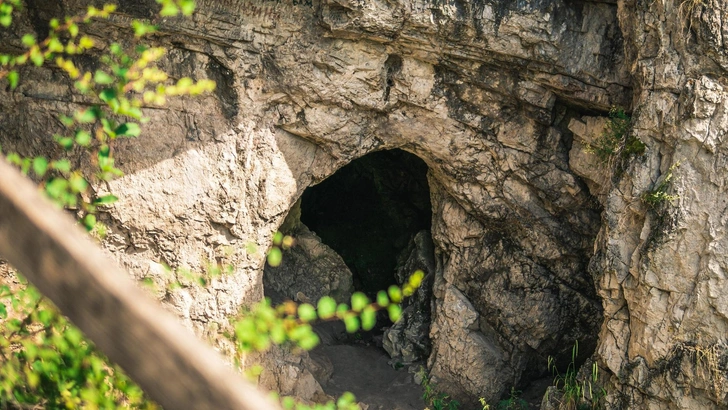 Какой у вас тип усталости? Пройдите тест и спланируйте идеальный отдых на Алтае