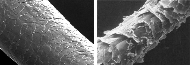 Read more about the article Как спасти сожженные волосы: 4 золотых правила, о которых молчат стилисты