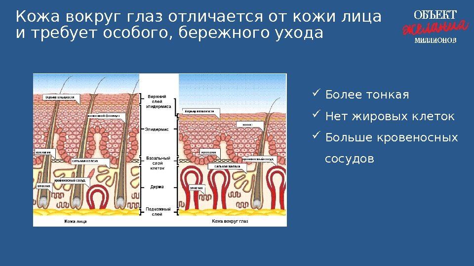 Read more about the article Веки маски от морщин: 5 средств, которые реально работают в 2026
