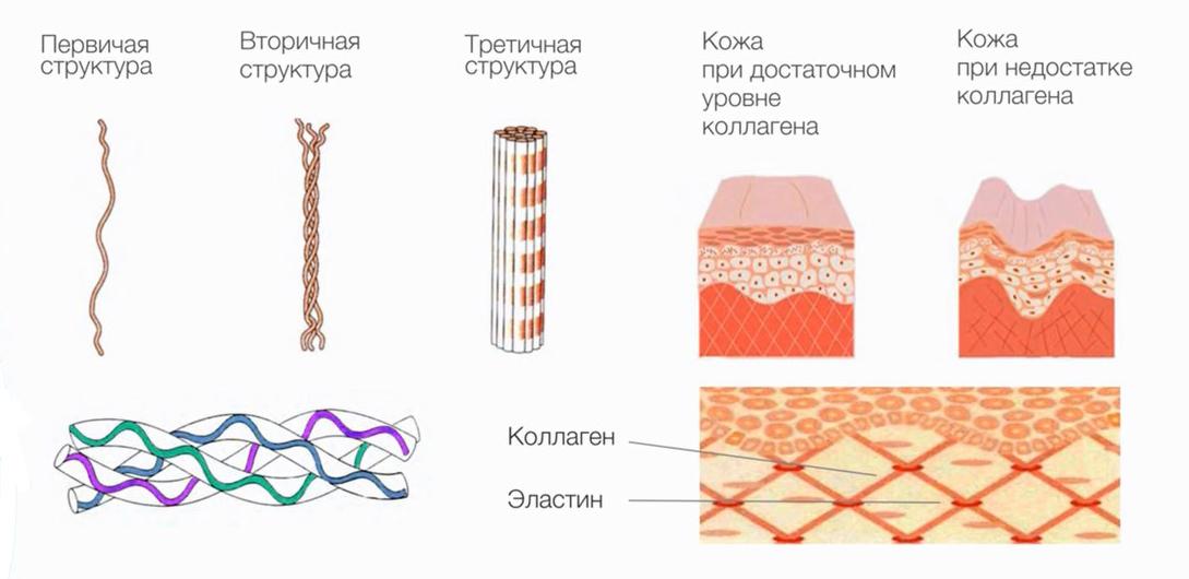 Read more about the article Лифтинг кремы от морщин: 5 секретов выбора, о которых молчат в магазинах