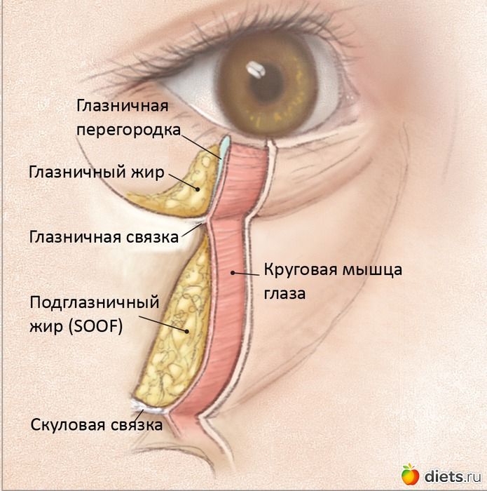 Read more about the article Морщины под глазами: пластика — это приговор или единственное спасение, когда кремы бессильны?