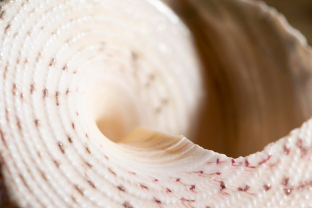 Read more about the article Синтетика душит, натуралка линяет? Разбираем основные виды тканей одежды, чтобы покупать вещи на века