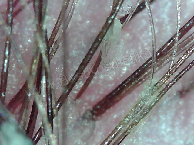 Read more about the article Шампунь для девочки 12 лет: какой лучше выбрать, чтобы не навредить волосам